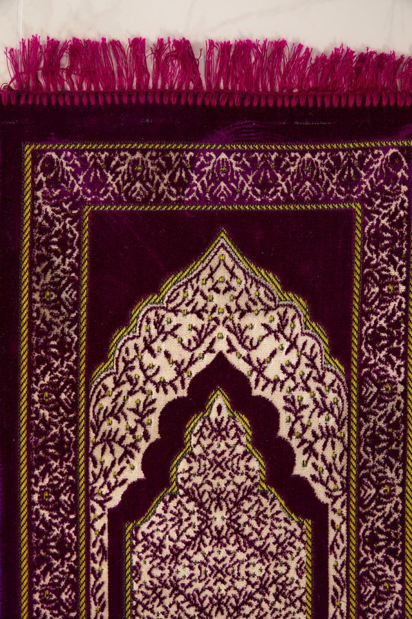 SECCADE Mor - 20045