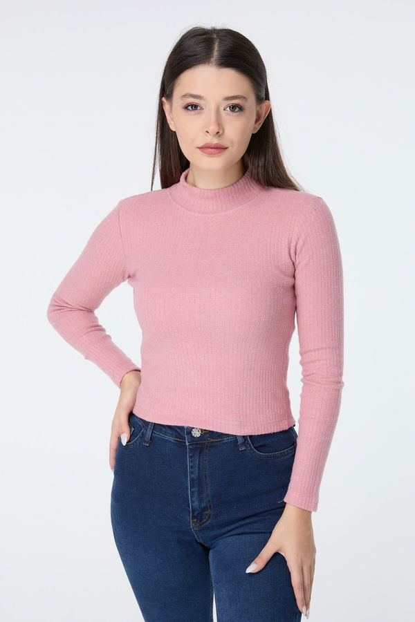 Düz Yarım Balıkçı Yaka Kadın Pembe Crop - 23135