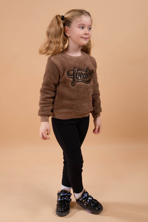 Erkek Çocuk Kahverengi Peluş Sweat - 23795