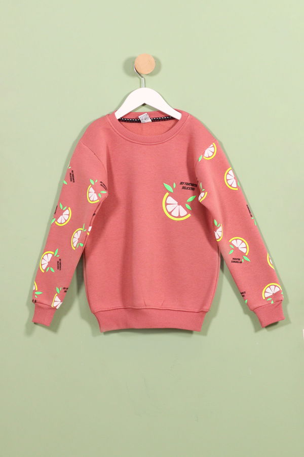 Kız Çocuk Pembe Sweat - 23837