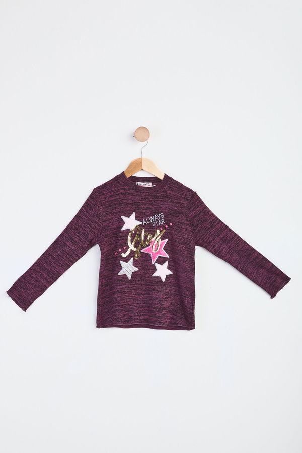 Kız Çocuk Mor Sweatshirt - 23986 MOR