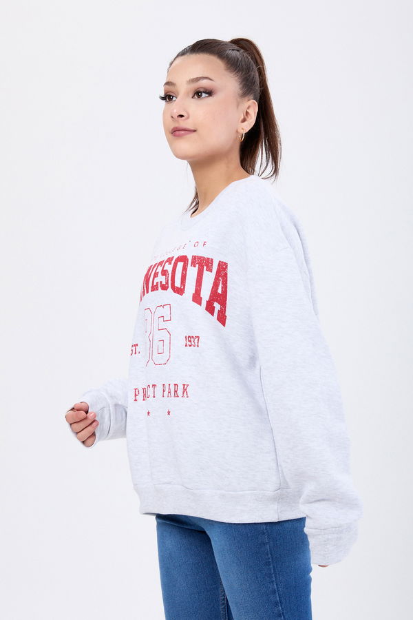 Düz Bisiklet Yaka Kadın Gri Sweat - 24150