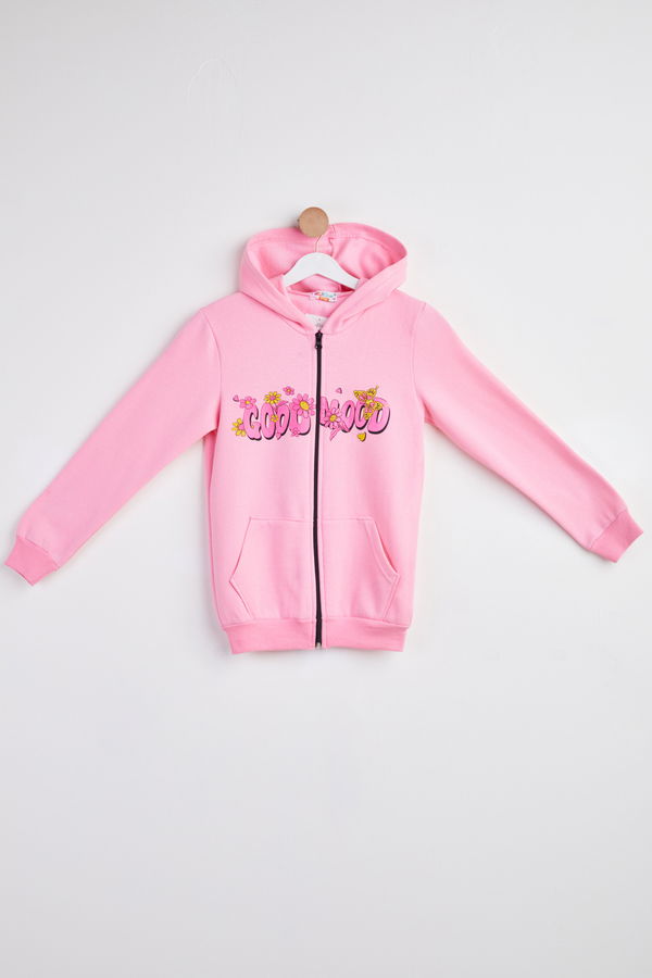 Kız Çocuk Pembe Baskılı Kapşonlu sweatshirt - 24255