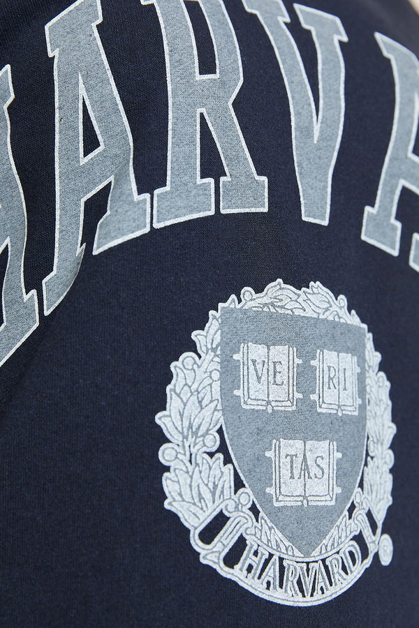Düz Orta Kadın Lacivert Baskılı Sweat - 8865