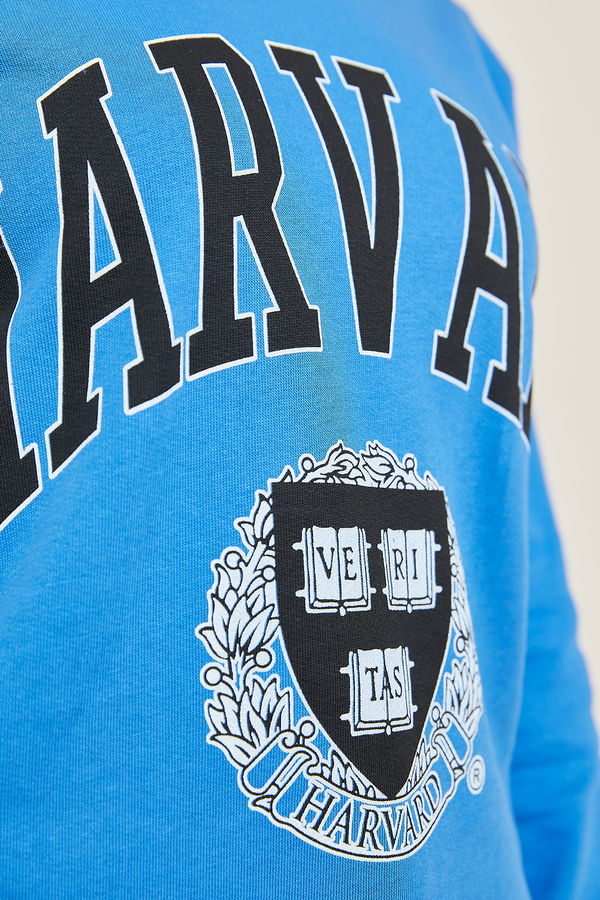 Düz Orta Kadın Mavi Baskılı Sweat - 8865 MAVİ