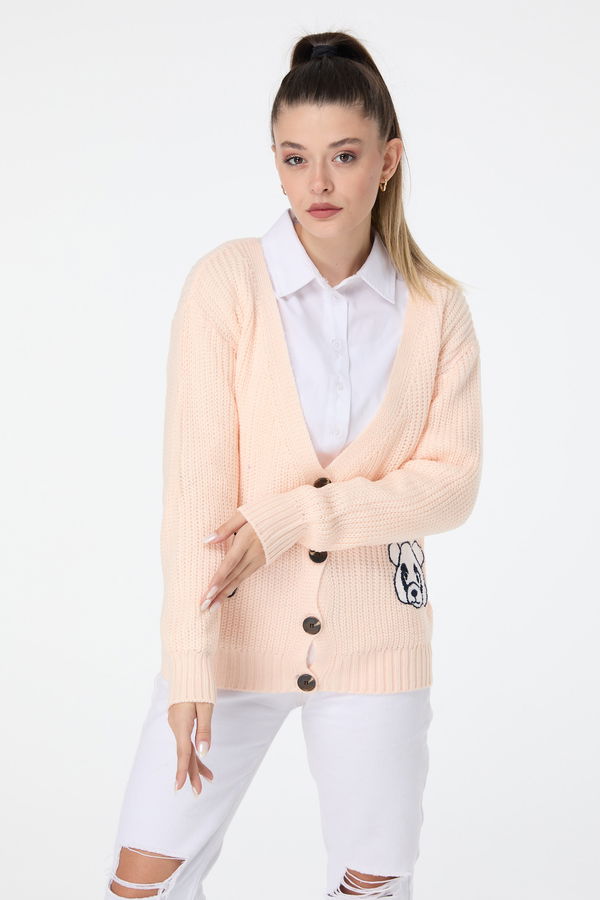 Düz Orta Kadın Pembe Triko Hırka - 23504