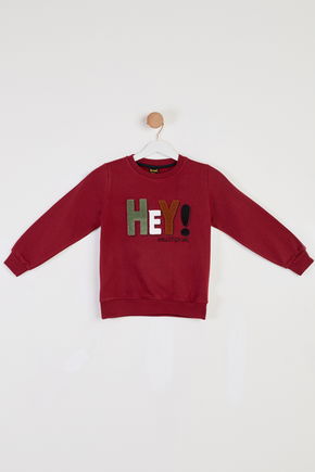 Erkek Çocuk Bordo Baskılı Sweatshirt - 26440