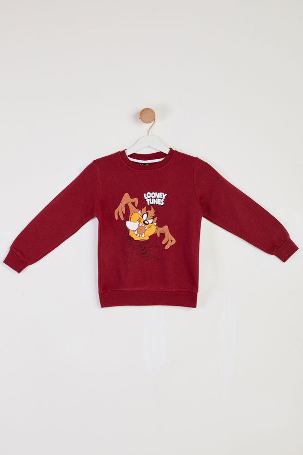 Erkek Çocuk Bordo Baskılı Sweatshirt - 26439 BORDO
