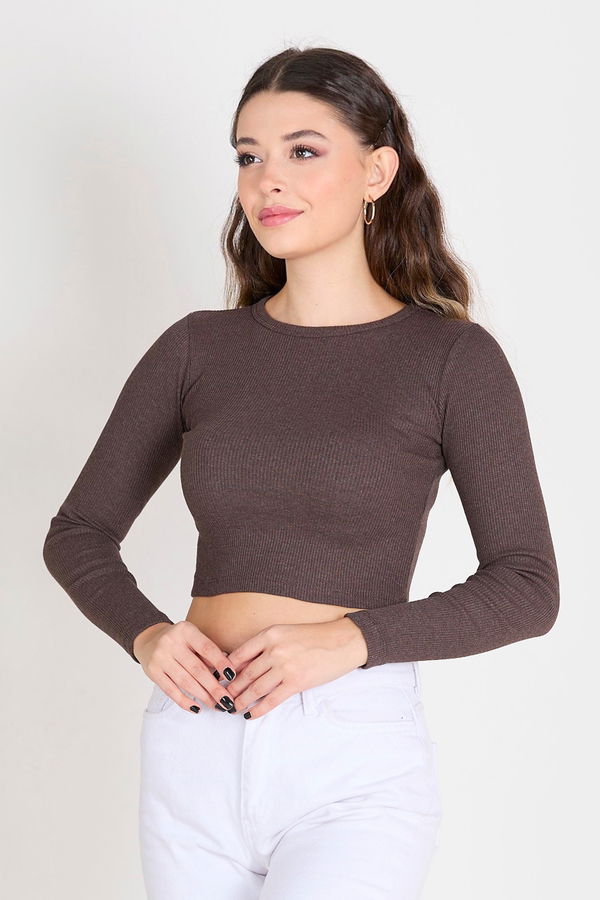 Crop Kahverengi - 23391
