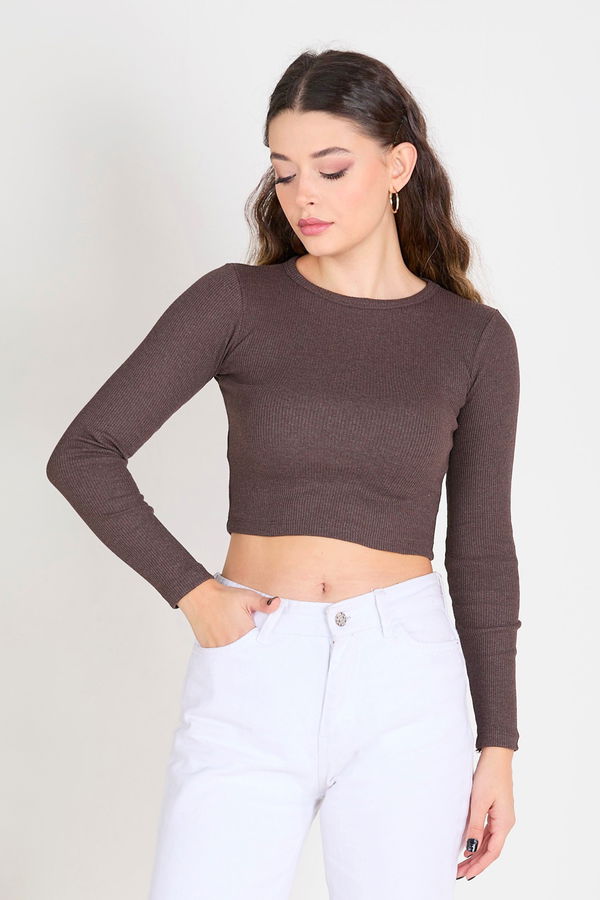 Crop Kahverengi - 23391