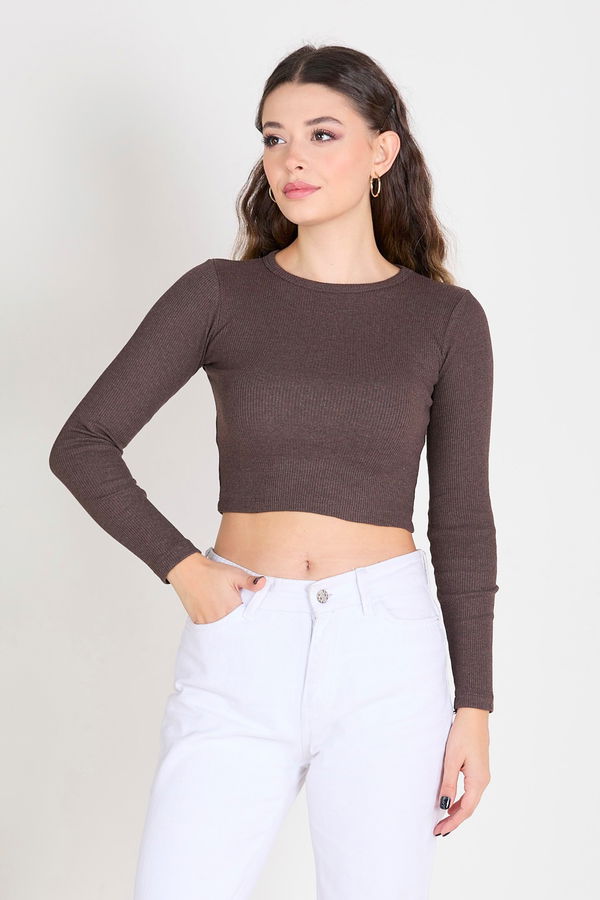 Crop Kahverengi - 23391