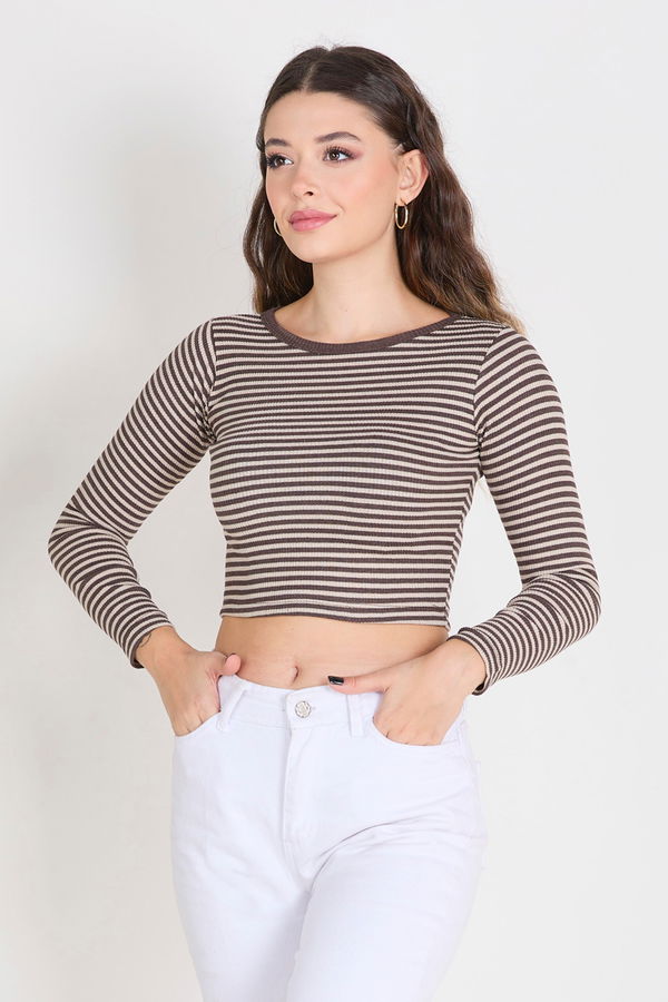 Crop Kahverengi - 23392